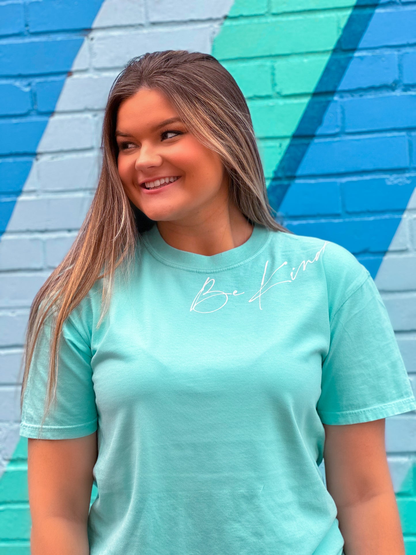 Be Kind Comfort Colors T-Shirt