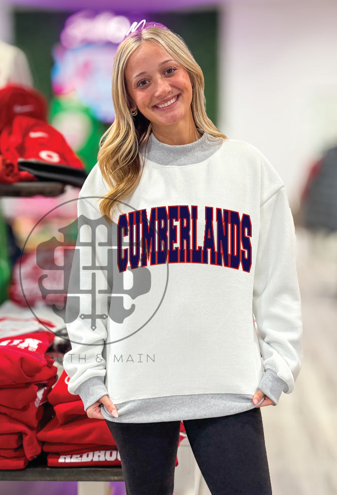 CUMBERLANDS 2-Sided Mock Neck Sweatshirt