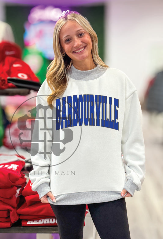 BARBOURVILLE 2-Sided Mock Neck Sweatshirt